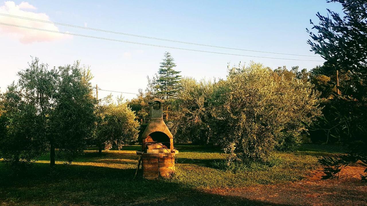 Agriturismo Casa Andreina Castiglione della Pescaia Exterior photo